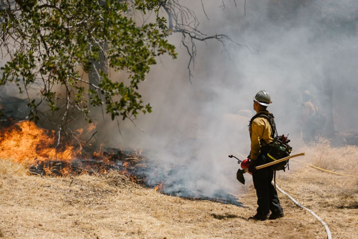 Here's how California has increased forest management and wildfire